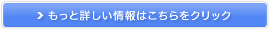 bNCI i`Vv[̔TCg